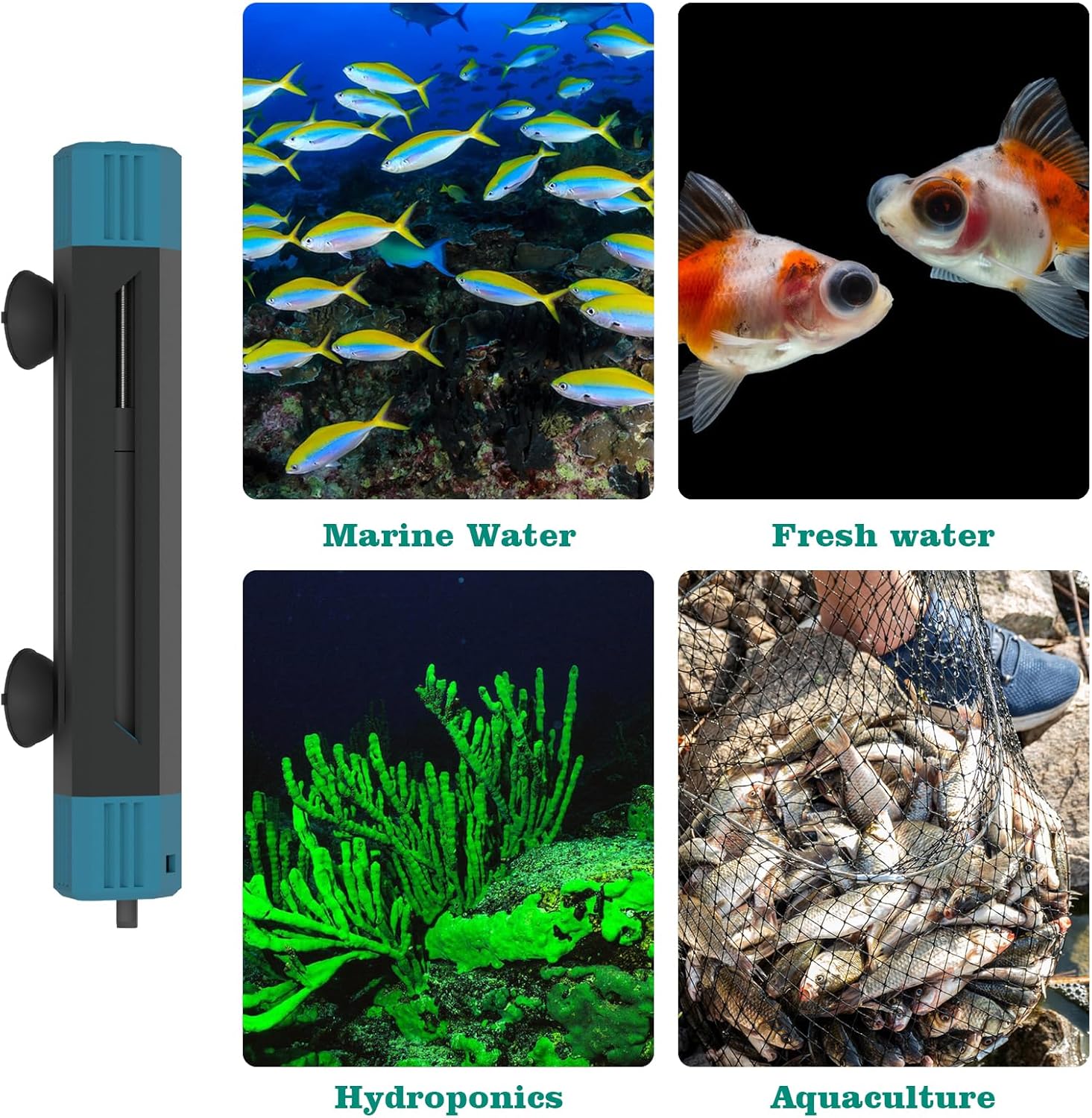 Aquarium Heater - Rapid Heating,Energy-Saving,Anti-Dry Protection,Intelligent Thermostat,500W Fish Tank Water Heater